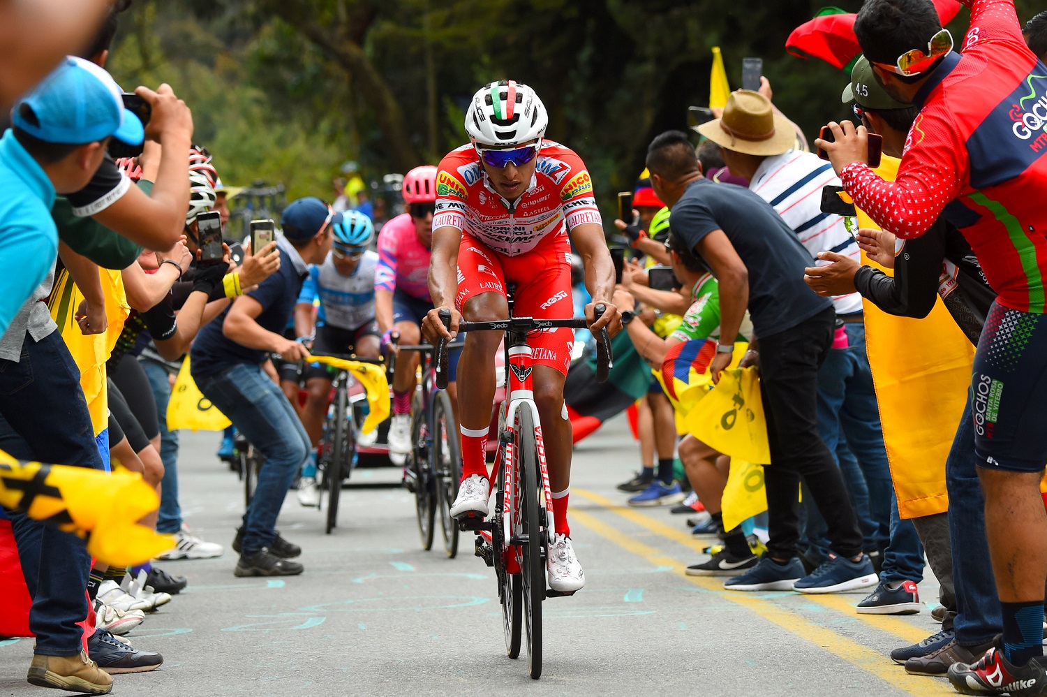 Banzai cerrar Bebé Daniel Muñoz, en duda para el Giro: “Es decepcionante, estaba en muy buena  forma” – Ciclismo Internacional
